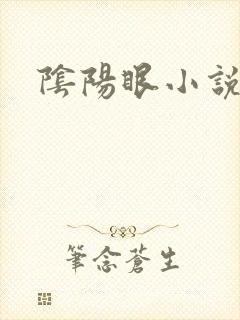 阴阳眼小说