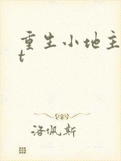 重生小地主txt