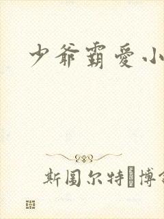 少爷霸爱小丫头