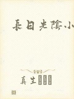 长日光阴小说封面