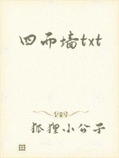 四面墙txt