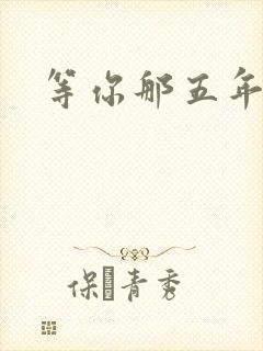 等你那五年