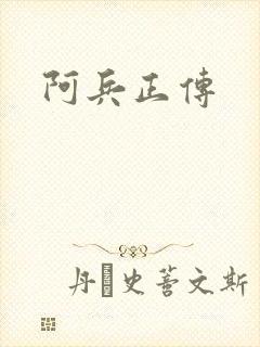 阿兵正传封面