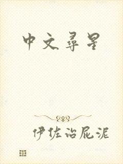 中文寻星