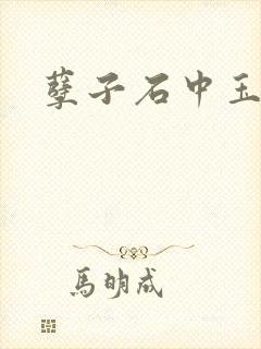 孽子石中玉封面