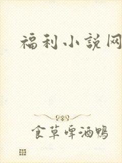 福利小说网