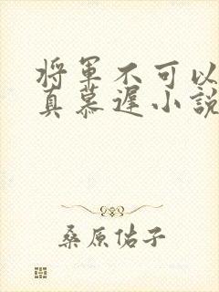 将军不可以魏云真慕迟小说笔趣阁