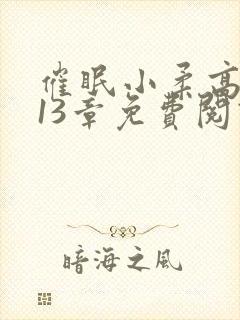 催眠小柔高达第13章免费阅读