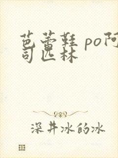 芭蕾鞋 po阿司匹林