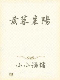 黄蓉襄阳