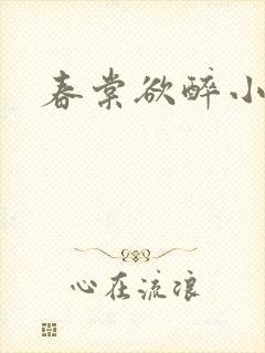 春棠欲醉小说