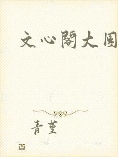 文心阁大团结封面