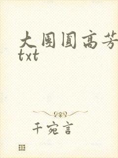 大团圆高芳小说txt