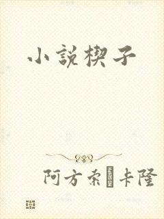 小说楔子