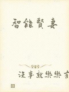 智能贤妻