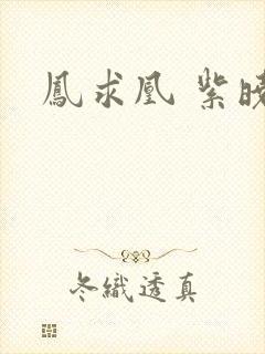 凤求凰 紫晓