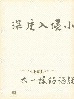 深度入侵小说