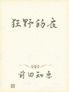 狂野的夜封面