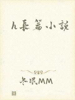 h长篇小说封面