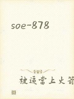 soe-878