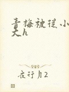 青梅被从小摸到大h封面