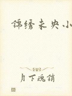 锦绣未央小说