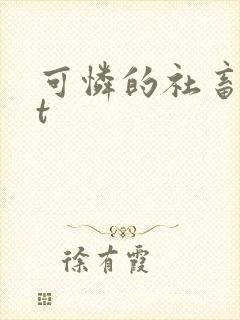 可怜的社畜txt
