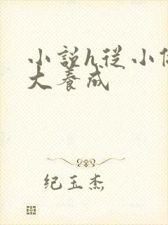 小说h从小做到大养成