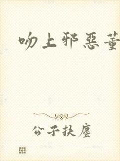 吻上邪恶董事长封面
