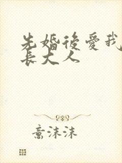 先婚后爱我的市长大人