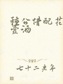 种公借配花间一壶酒