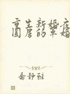 重生新婚夜正在圆房的军婚封面