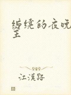 缠绕的夜晚双男主