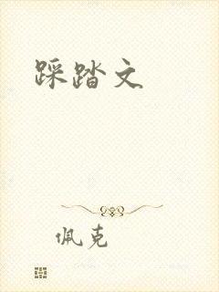 踩踏文封面