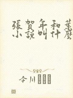 张贺年和叶繁姿小说叫什么名字