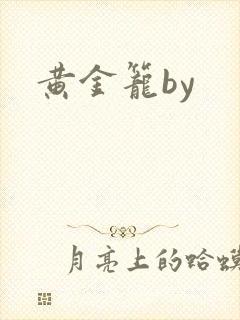 黄金笼by