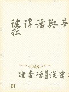 彼得潘与辛德瑞拉封面