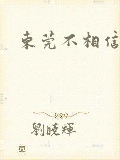 东莞不相信眼泪