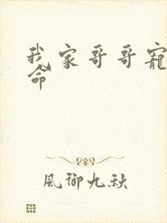 我家哥哥宠妹如命封面