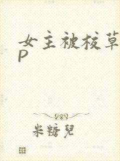 女主被校草们NP