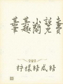 某某小说未删减笔趣阁免费阅读