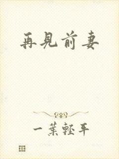 再见前妻
