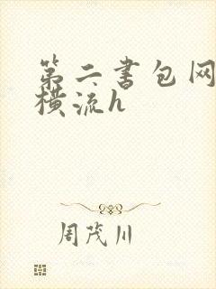 第二书包网蜜汁横流h封面