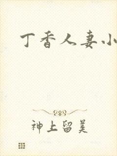 丁香人妻小说