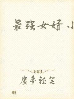 最强女婿 小说