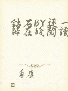 钻石BY逐一而归在线阅读