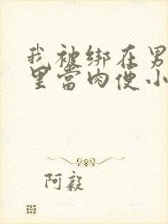 我被绑在男公厕里当肉便小说封面