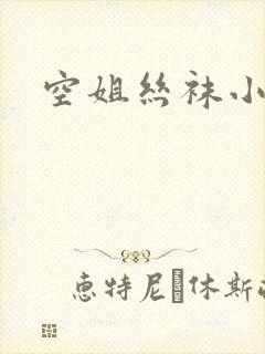 空姐丝袜小说
