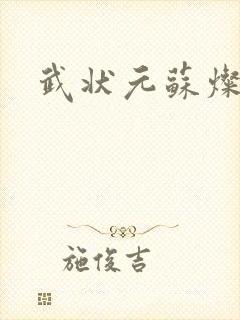 武状元苏灿
