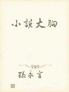 小说大胸